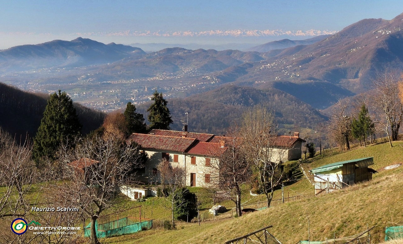 31 Al Monte, sullo sfondo le Alpi Piemontesi....JPG